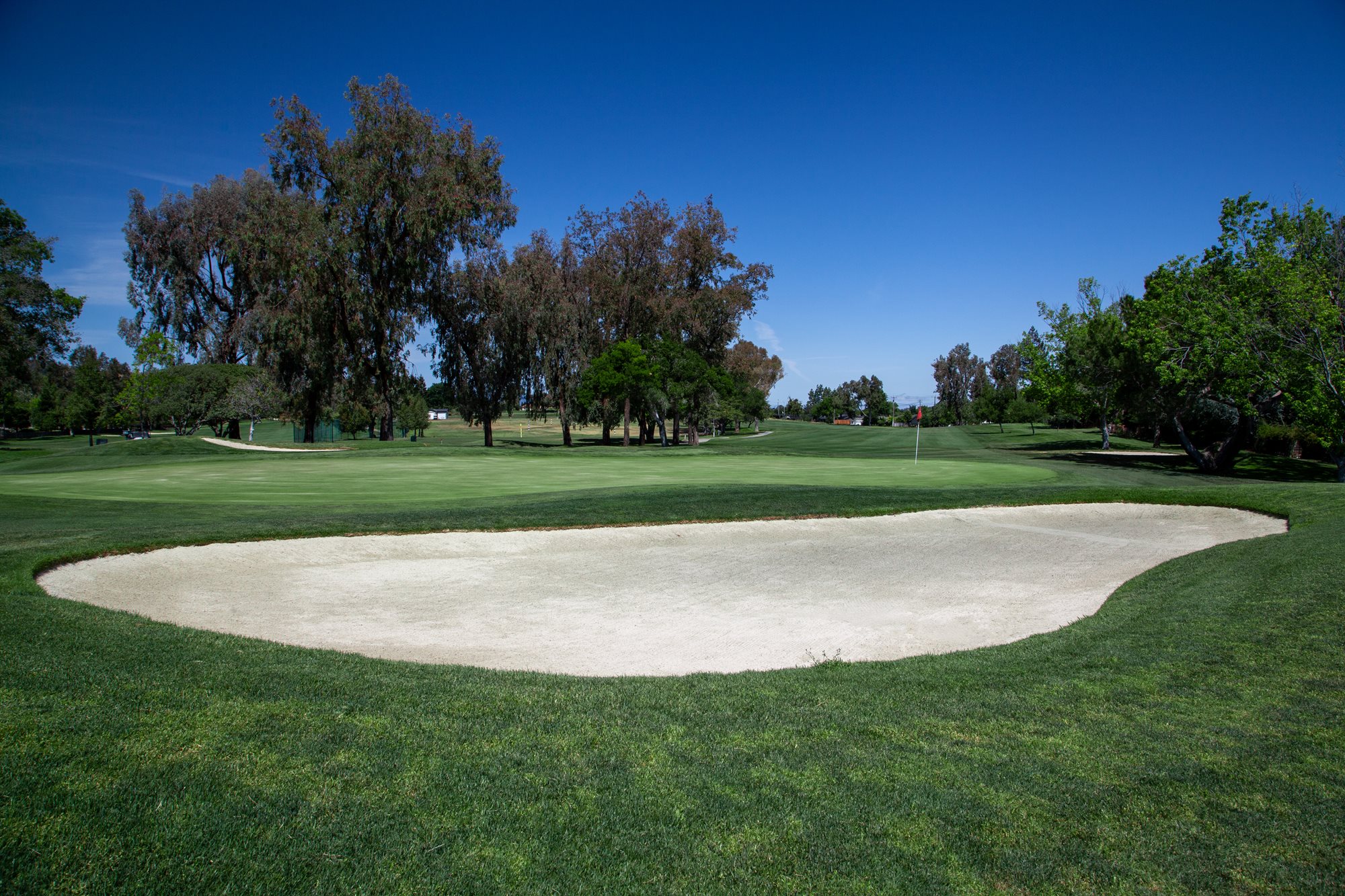 Almaden_Country_Club_Pt_2-8